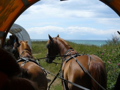 Dorint Strandresort & Spa Ostseebad Wustrow Bild 5