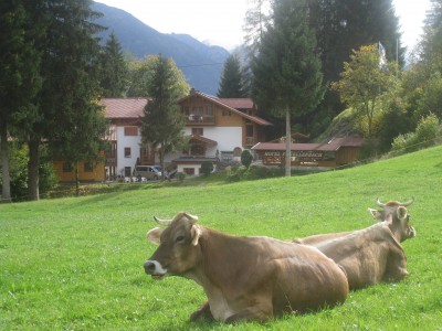 Hotel - Restaurant Forellenbach Bild 8