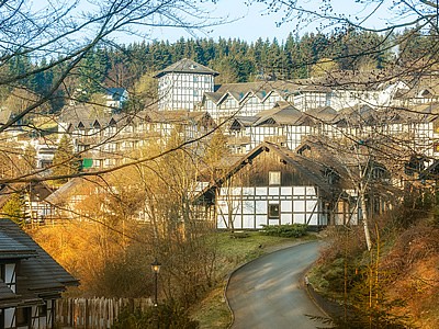 Dorint Hotel & Sportresort Winterberg-Sauerland Bild 8