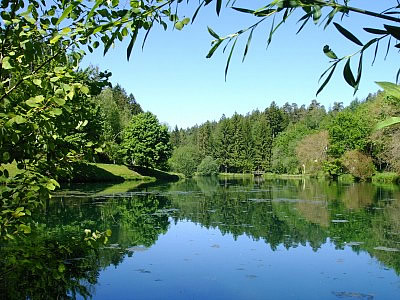 Ferienhotel Panorama Bild 8