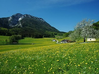 Fair Preis Hotel - Landhotel Binderhäusl Bild 3