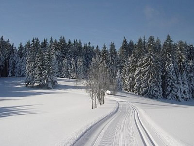 Fair Preis Hotel & Höhengasthof Kolmenhof Bild 7