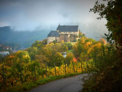 VCH Evangelische Familienferien- und Bildungsstätte Ebernburg Bild 11