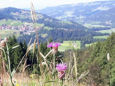 VCH Gästehaus Allgäu-Weite Bild 18